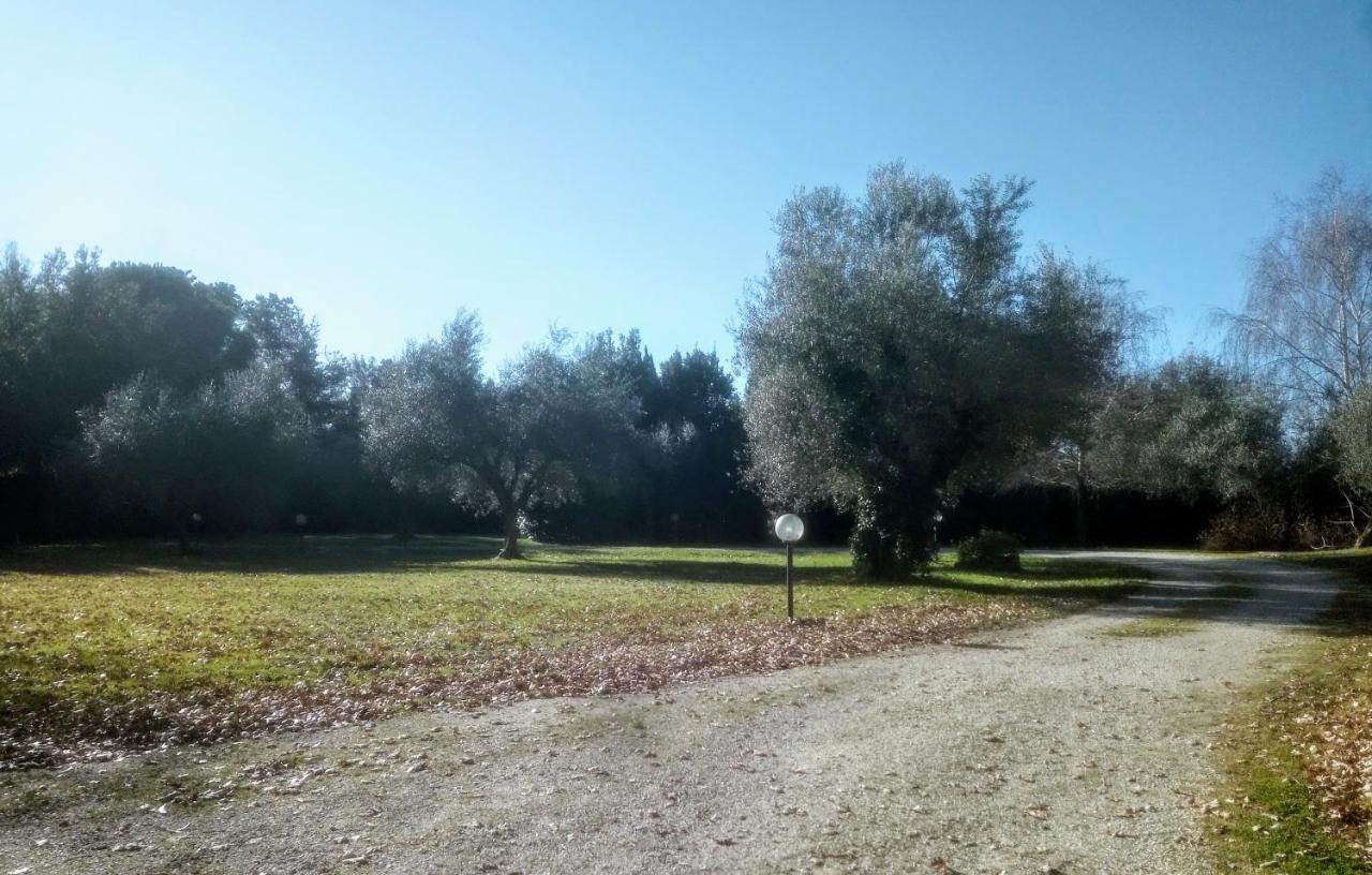 ויטרבו A Casa Di Asia מראה חיצוני תמונה