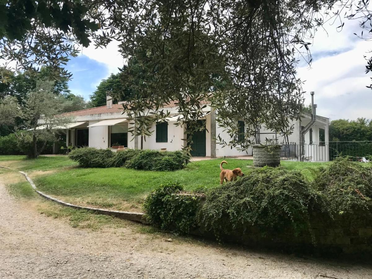 ויטרבו A Casa Di Asia מראה חיצוני תמונה